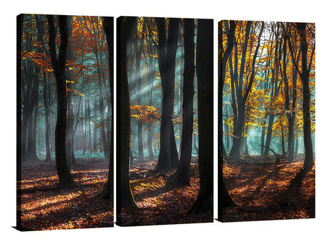 LIGHT AND SHADOWS