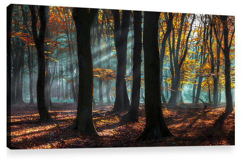 LIGHT AND SHADOWS, Ready-to-Hang Photographic Print On Canvas