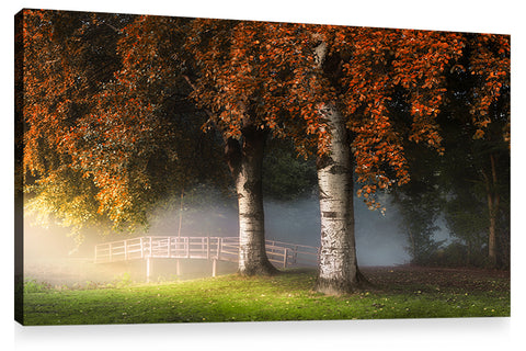 TWINS, Ready-to-Hang Photographic Print On Canvas