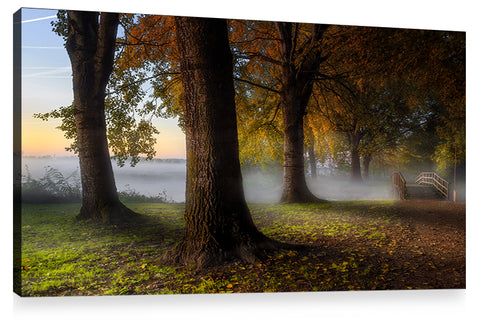 DREAMLAND, Ready-to-Hang Photographic Print On Canvas