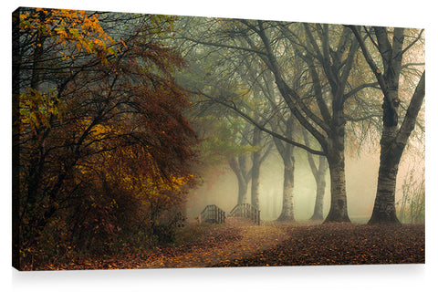 LAST COLORS OF FALL, Ready-to-Hang Photographic Print On Canvas