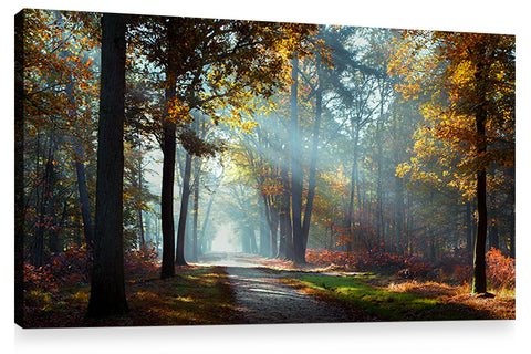 HIDDEN TREASURES, Ready-to-Hang Photographic Print On Canvas