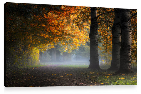 THREE OF A KIND, Ready-to-Hang Photographic Print On Canvas