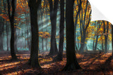 LIGHT AND SHADOWS