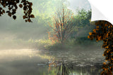 EARLY MORNING MAGIC