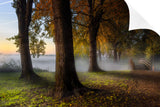 DREAMLAND