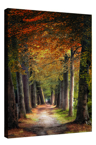 FAERIE ROAD