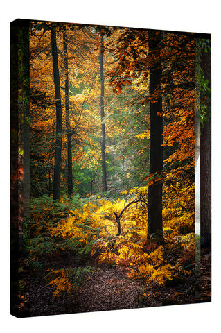 SMALL FALL