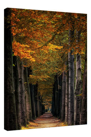 PATH OF MIRACLES