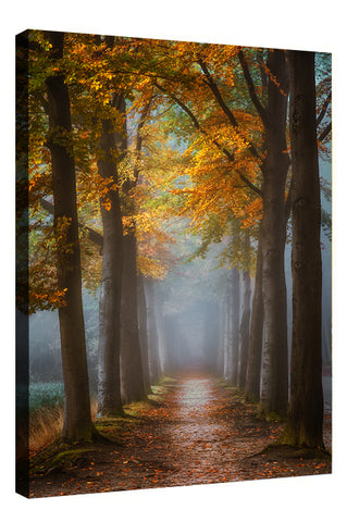 PATH TO FAIRYLAND