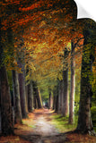 FAERIE ROAD