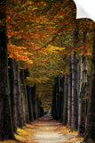 PATH OF MIRACLES
