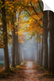 PATH TO FAIRYLAND