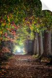 THE MAGIC CORRIDOR