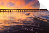 Newport 04