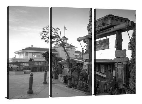 Newport 08