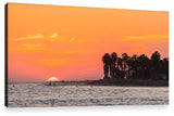 Ventura 03
