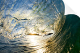 Wedge 02